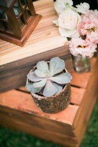 0897_michaelandannacosta